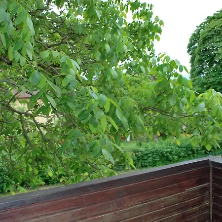 Goscinne Beata Проживание в семье